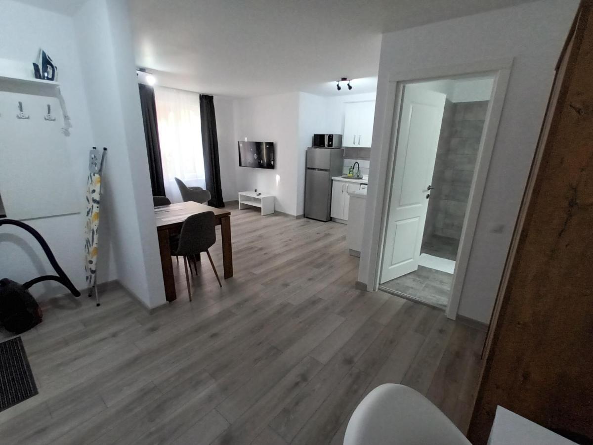 Old Town Studio Apartments Baia Mare Ngoại thất bức ảnh