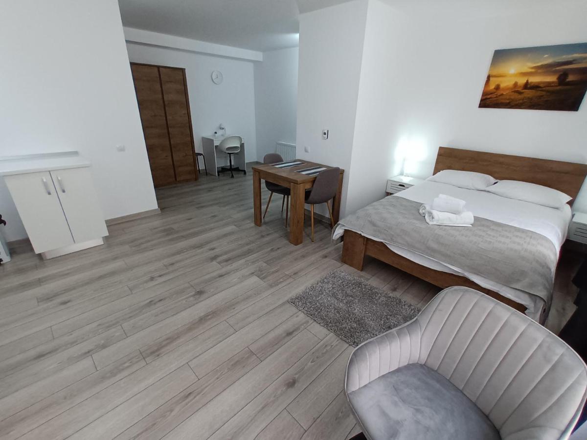 Old Town Studio Apartments Baia Mare Ngoại thất bức ảnh