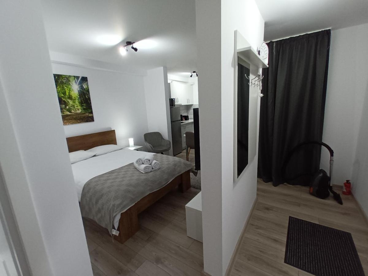 Old Town Studio Apartments Baia Mare Ngoại thất bức ảnh